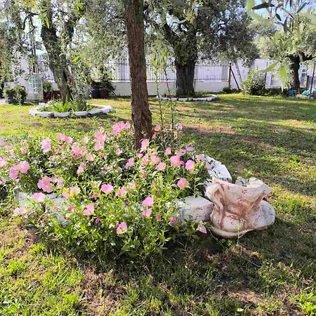 Apartment Anna Garden House