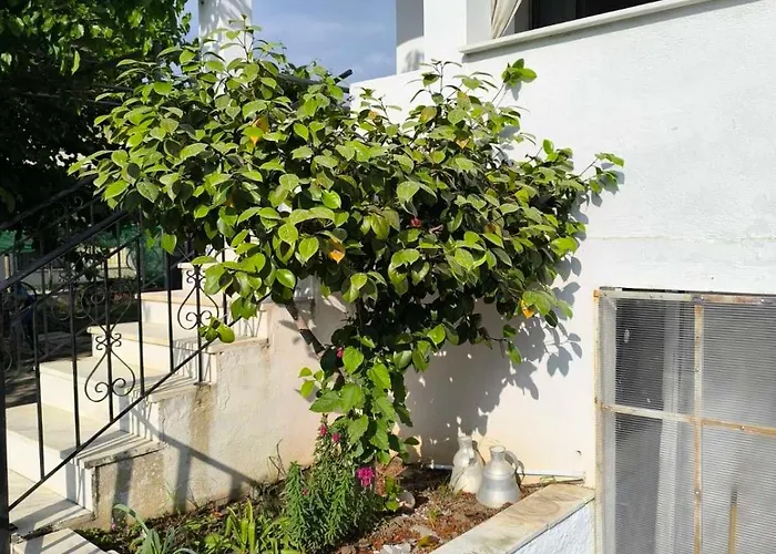 Anna Garden House Thasos